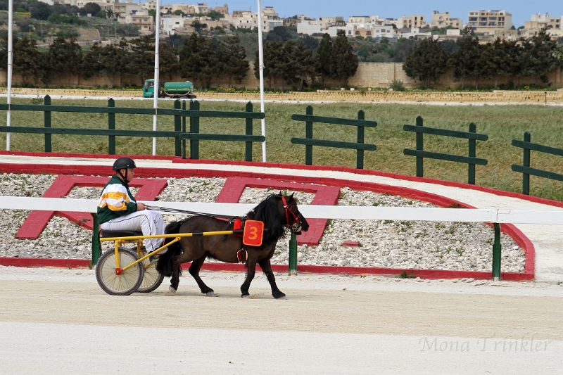 2015_Race 1 - 08.JPG